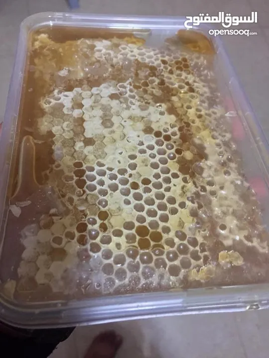 العامودي للعسل الطبيعي 100٪؜ انتاج ربيع 2024