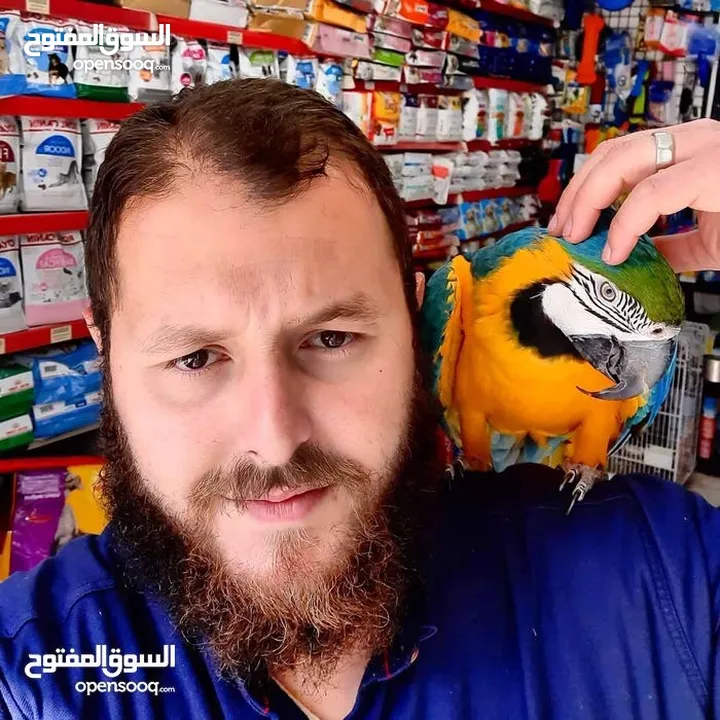 نشتري منك بأحسن الأسعار اقرأ الوصف صديقي