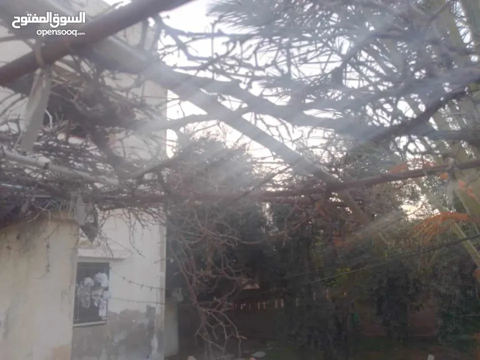 بيت ثلاثة شقه