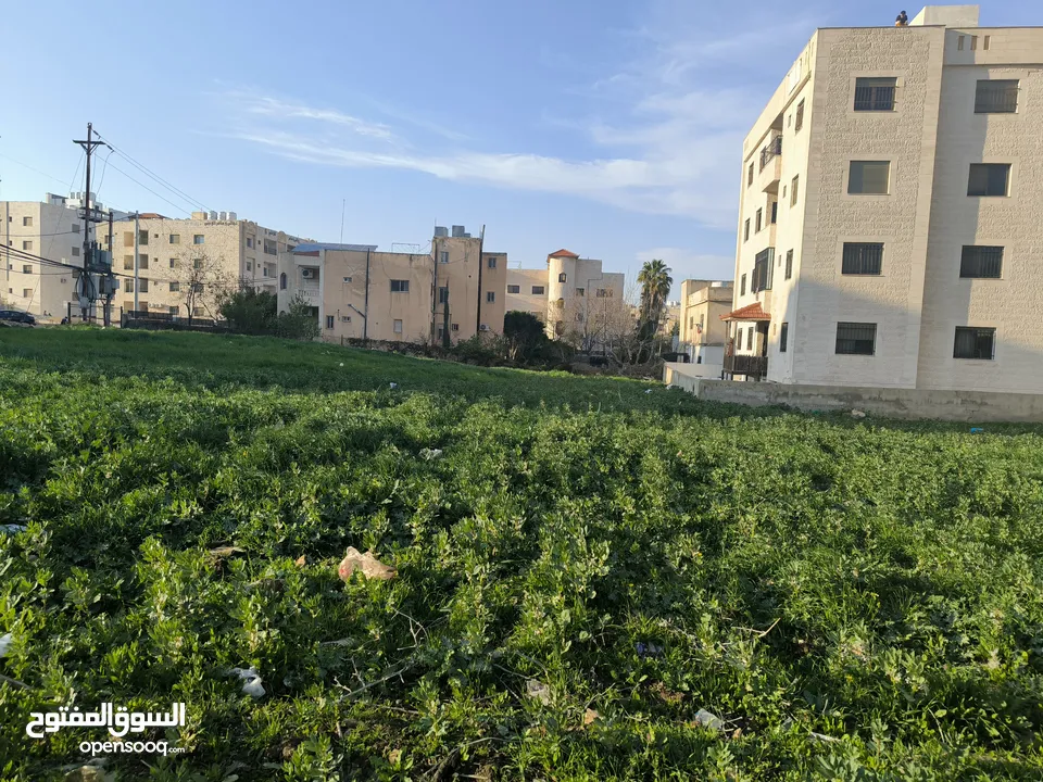 أرض للبيع في إربد /ايدون