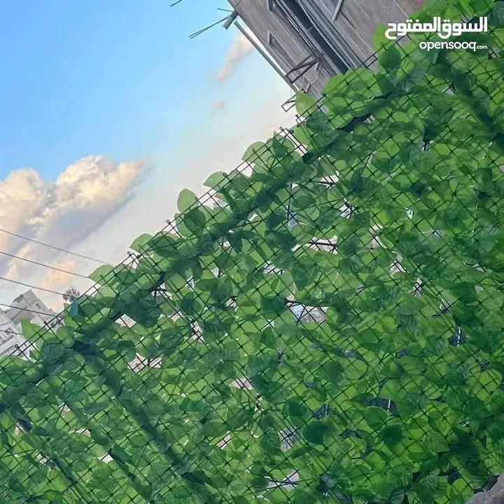الزرقاء ل جديده شبك ورد مقاس 3متر ب متر