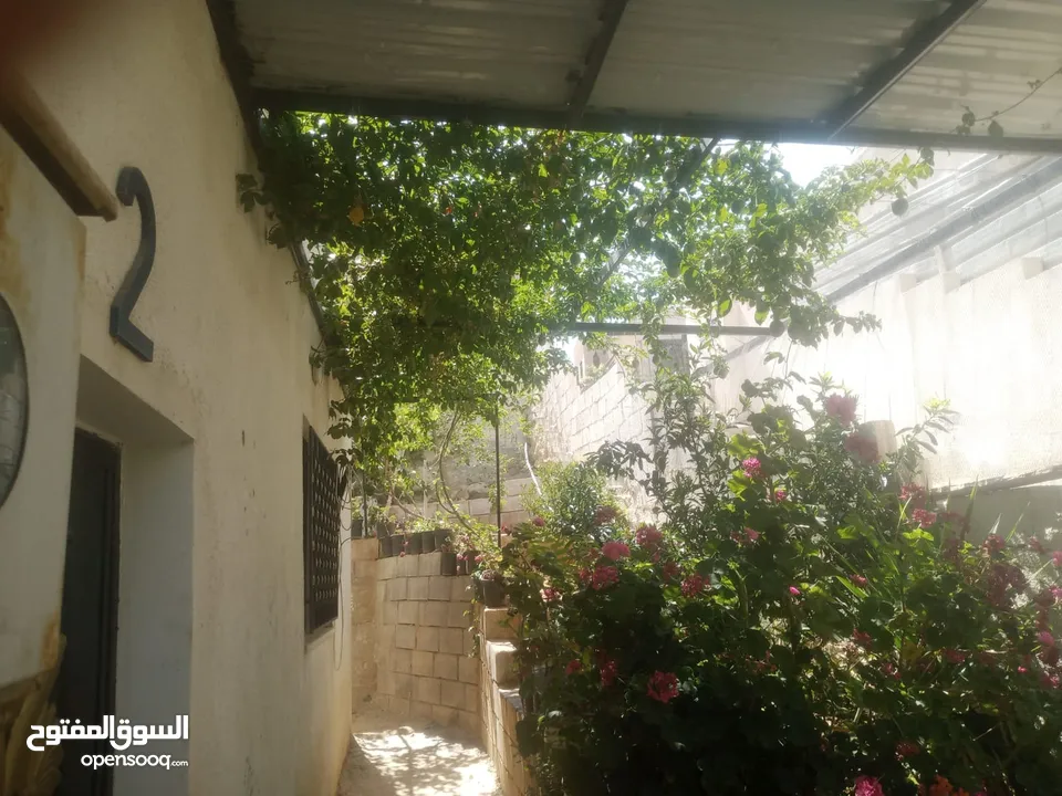 منزل مستقل جرش اسكان عجرمه  3غرف نوم 2حمام  صاله مع مطبخ امريكي  بلكونه  حديقه مساحه الارض 305