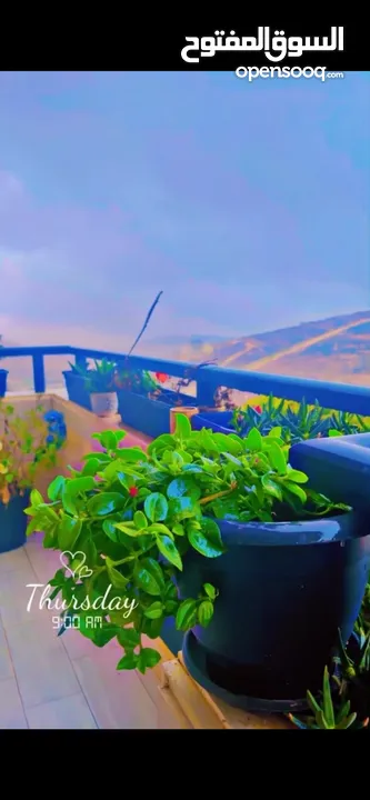 شقة من المالك مباشرة