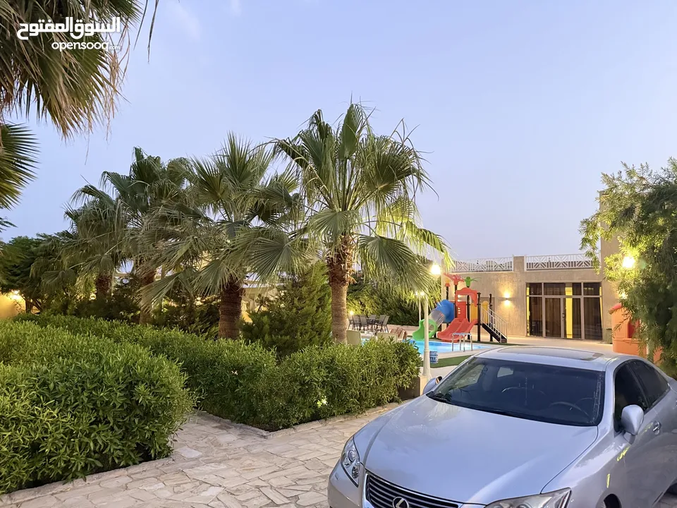 مزرعة نخيل مجهول مثمر ومنتج  + شاليه مودرن للبيع بأجمل مناطق الغور بالقرب من سد الكرامة 60 ك من عمان