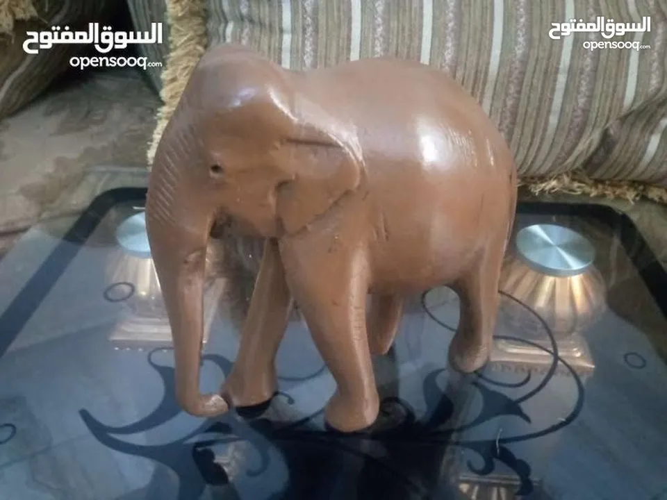 مناظر حيوانات للبيع بسعر مغري