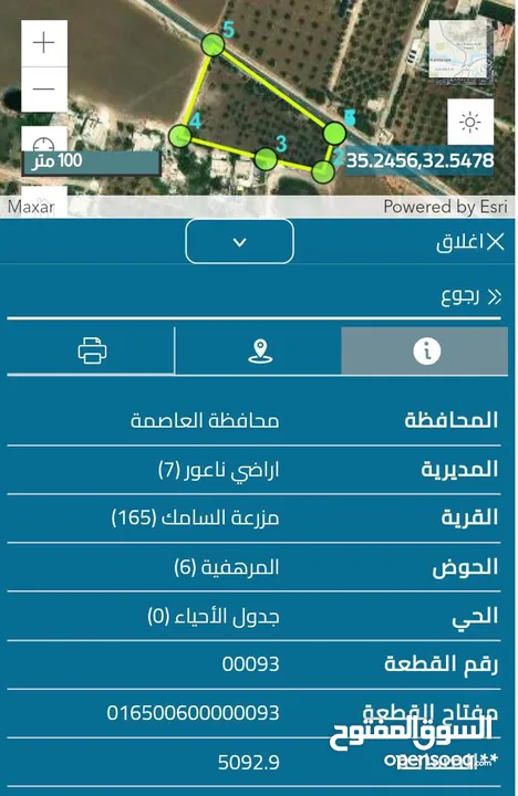 قطعة ارض مميزة (مزروعة زيتون) على طريق السامك - العال