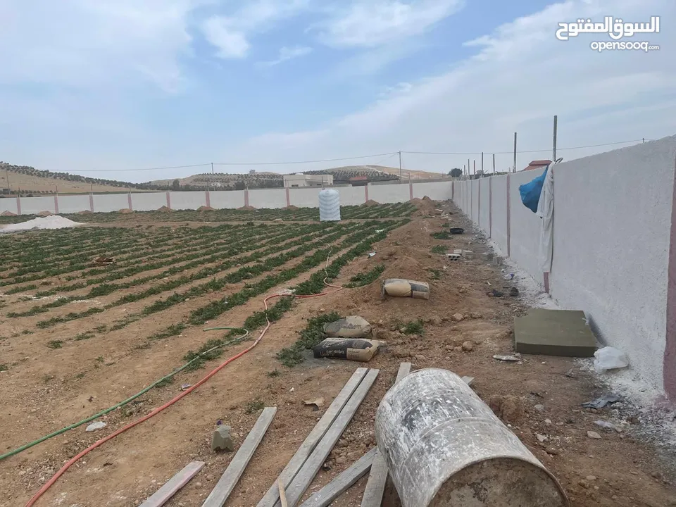 ارض زراعية في بلعما للبيع مساحتها 3500 متر