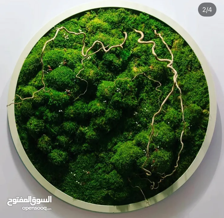 Moss walls for houses and office + Gallery 1 art work