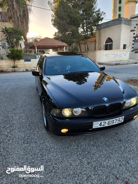 BMW E39 الدب