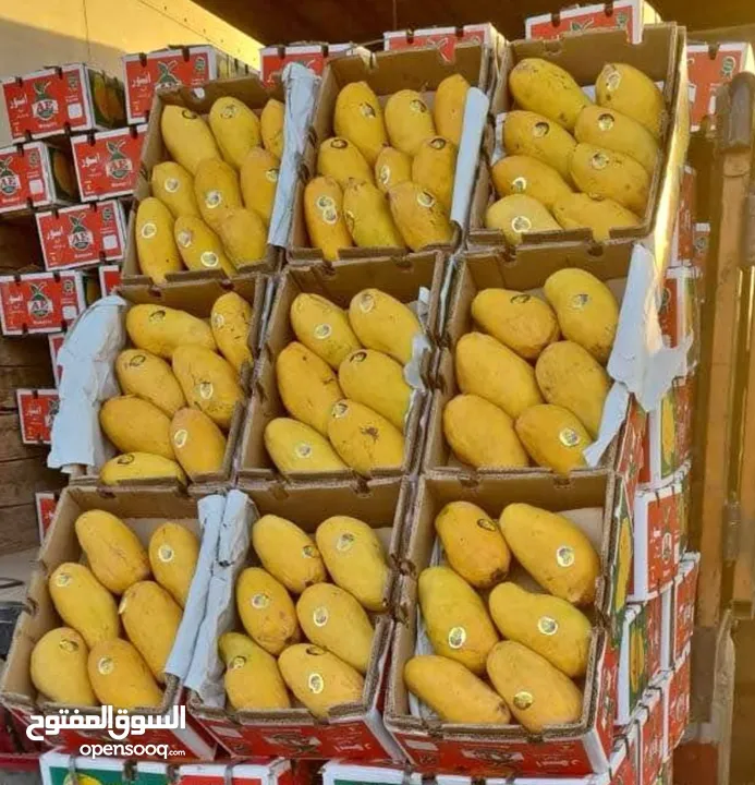Pakistani sendhri mango