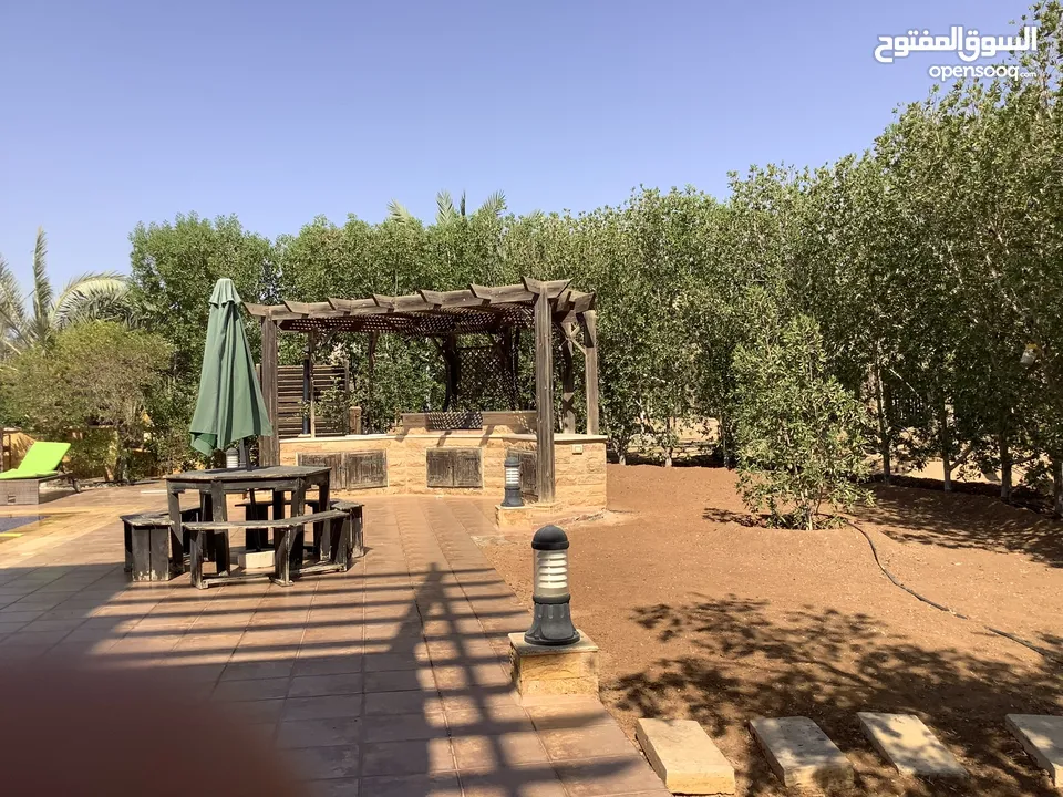 مزرعة في البحر الميت/ الشونه الجنوبية / السويمه / حوض جلد مميزة للبيع للجادين فقط