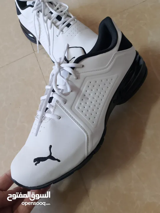 حذاء .Puma  اصلي بحال الوكاله لساته جديد وارد أروبي  الواحد ب 35