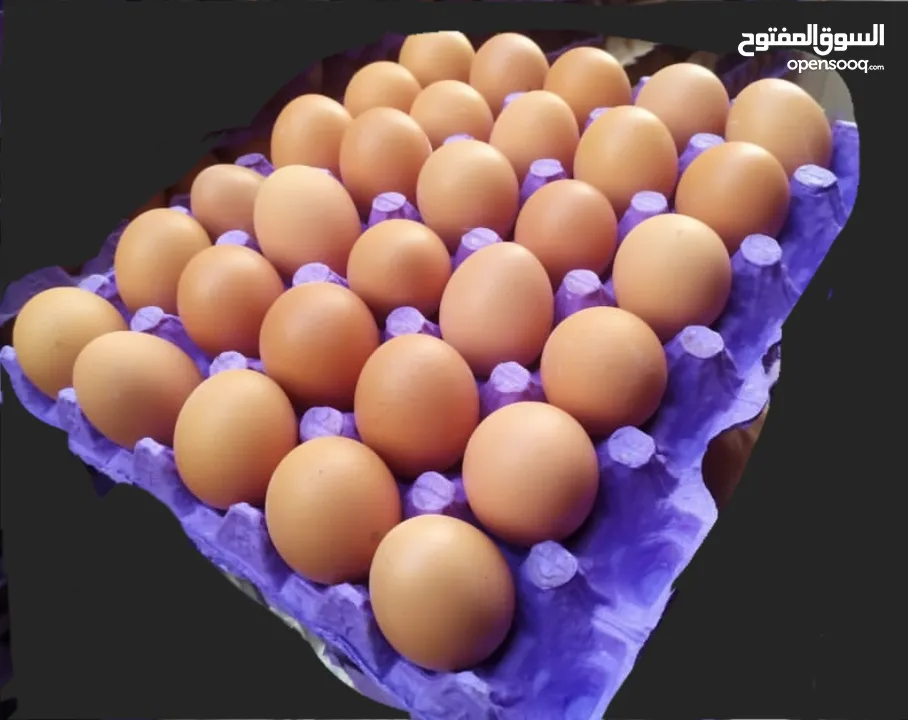 بيض بلدي طازج بدل 30_35 الكمية 30 بيضة