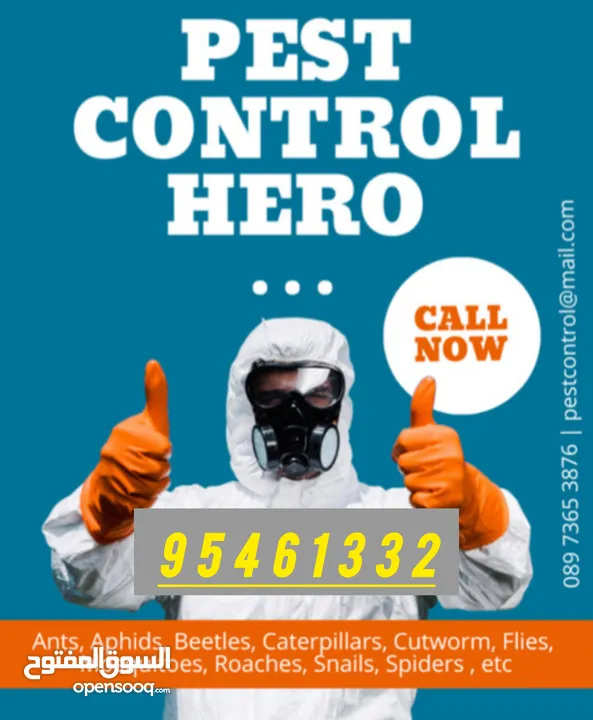 Pest Control Service for Cockroaches Bedbugs insects lizard Ants Mosquito Ropent Rats etc