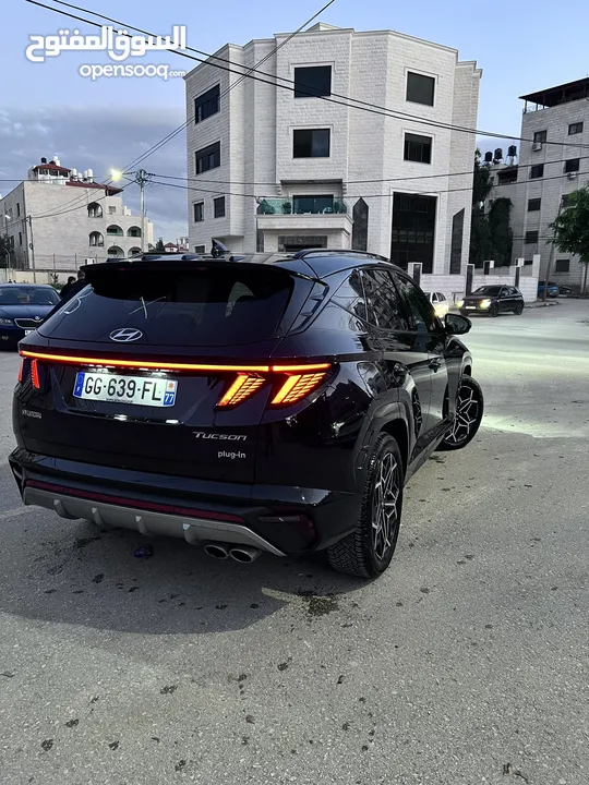 توسان بلجن فل كرتونه بسعر مميز