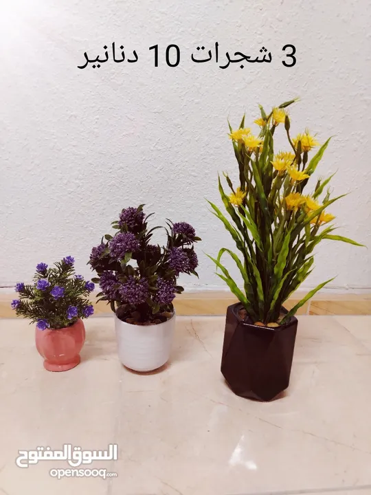 فازات مناظر مراي