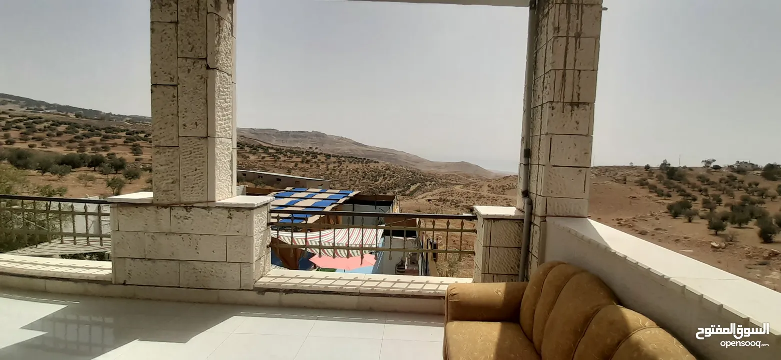 شاليه ومزرعة الجمل  مادبا - خربة المخيط - غرب الجامعة الالمانية .............................