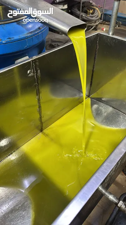 زيت زيتون جبلي قطف السنة