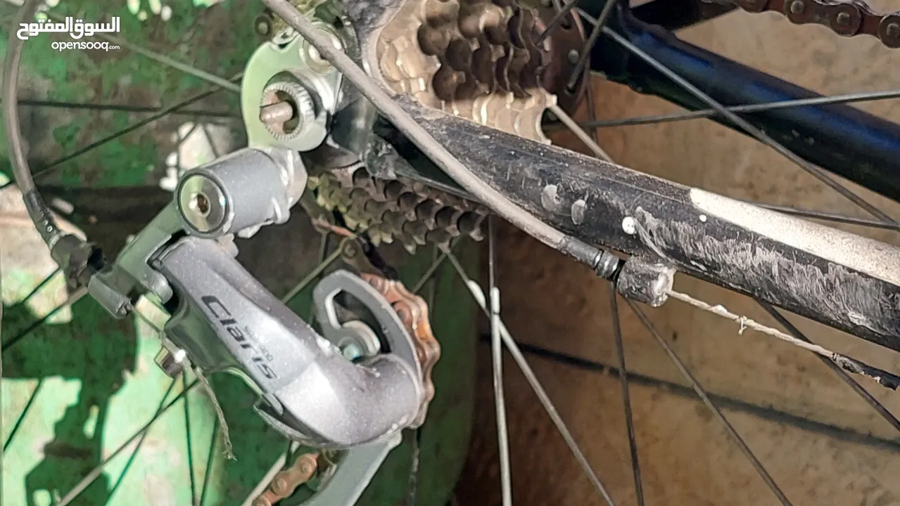 بسكلتي دراجة هوائية trinity plus uno bikes  سباق او طرق قطع نوع كلارس 2400 ياباني اصلي
