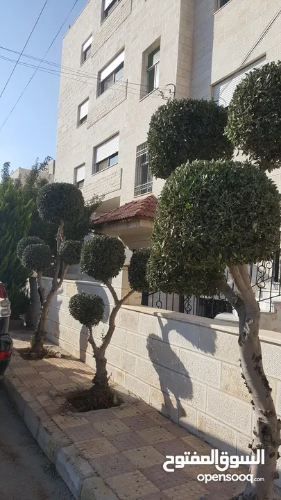 بستنجي// تنسيق الحدائق المنزلية