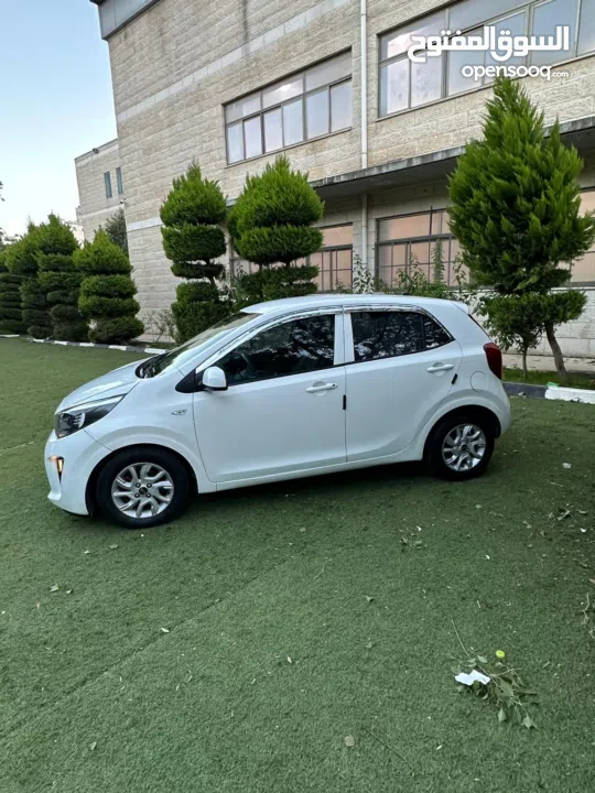 محمد النتشه