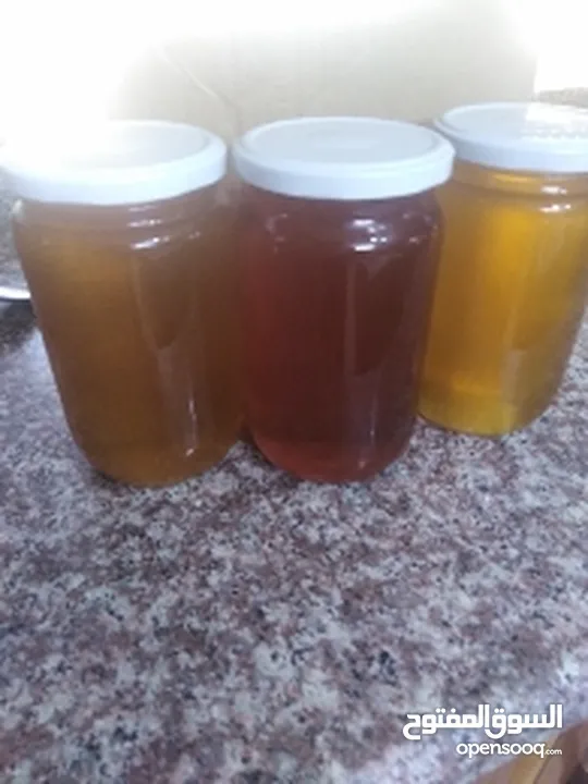 عسل طبيعي وصحى  100% منطقة غور من اشجار الحمضيات natural and healthy honey