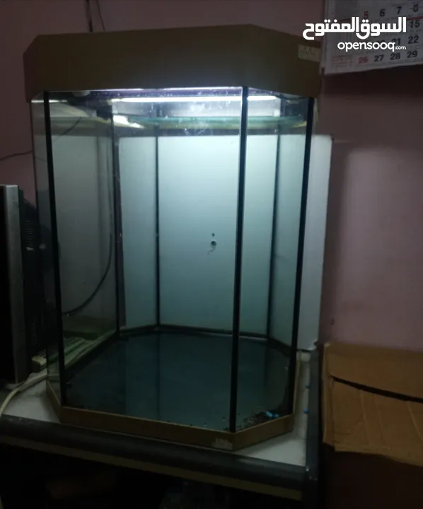 Octagon aquarium for sale