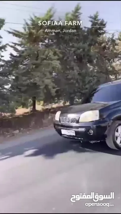 نيسان X - Tail ( اكس تريل ) 2006