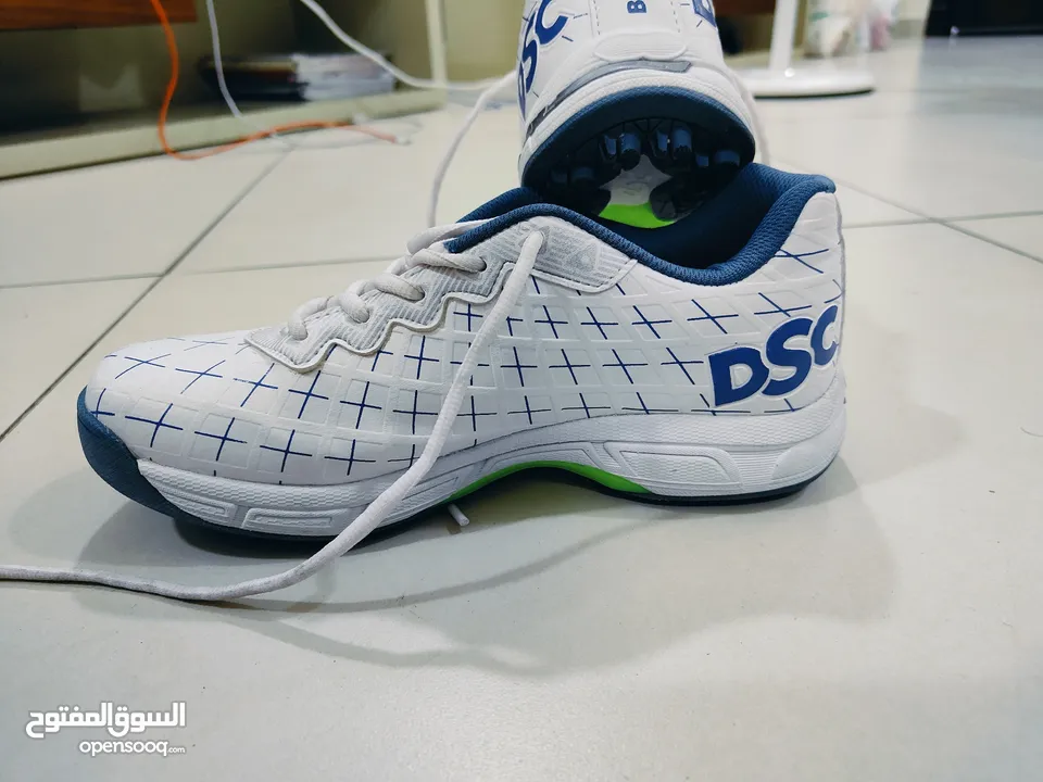 sports shoes DSC