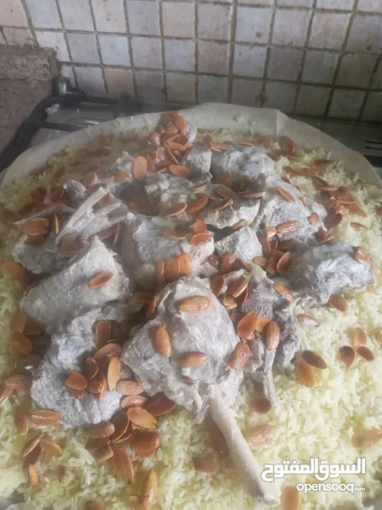 شيف شرقي وغربي وسلطات ابحث عن عمل خبرة في الاكل العربي والغربي والسلطات خبره اكثر من 15سنه