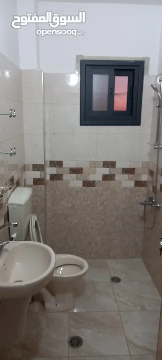 شقه للايجار