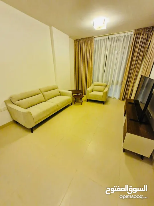 Fully Furnished 1 Bedroom Apartment