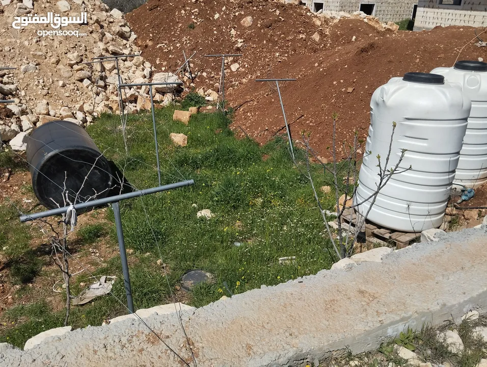 ارض سكنية للبيع في الخليل مفرق عيصى ولوزا