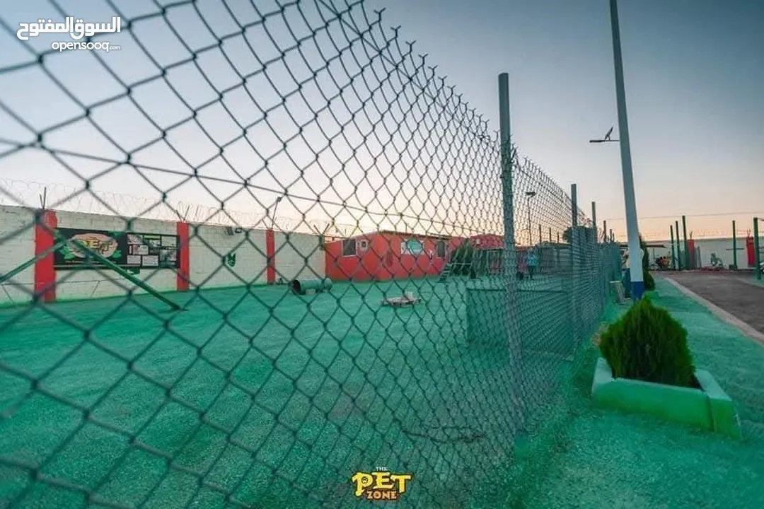 احجز لاقامه كلبك وراحته