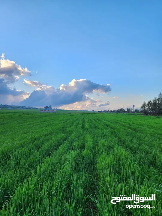 أرض للبيع الحصن طريق اربد عمان