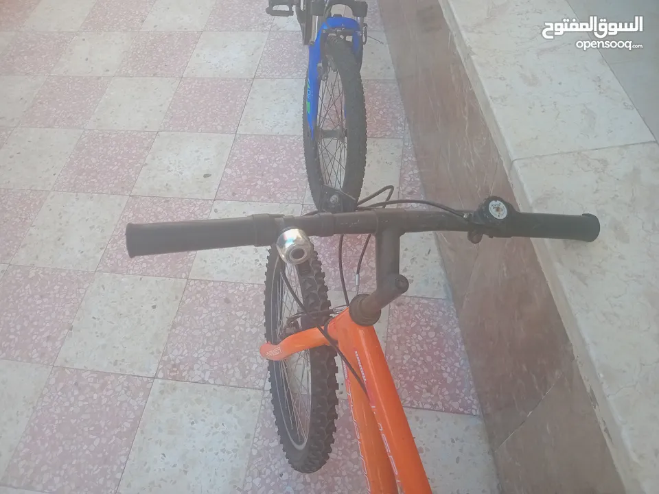 بسكليت نمره 20