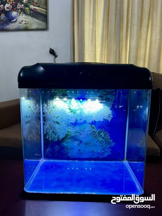 Aquarium Tank for Sale!
