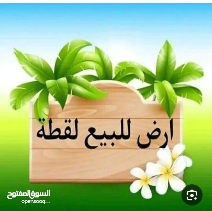 ارض للبيع في أربـــــــــــــــــــد ــ ناطفه