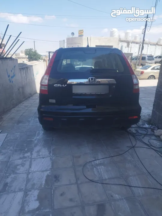 هوندا cr-v
