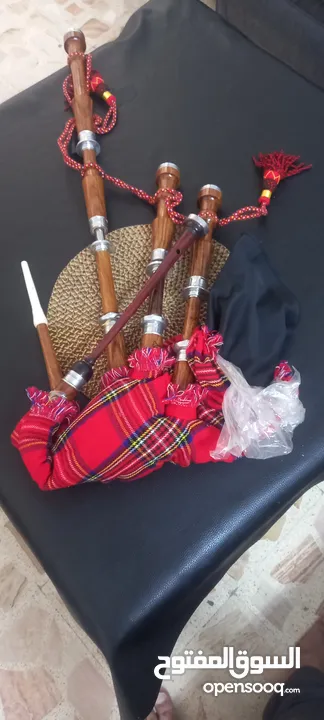 قربه ارلندي