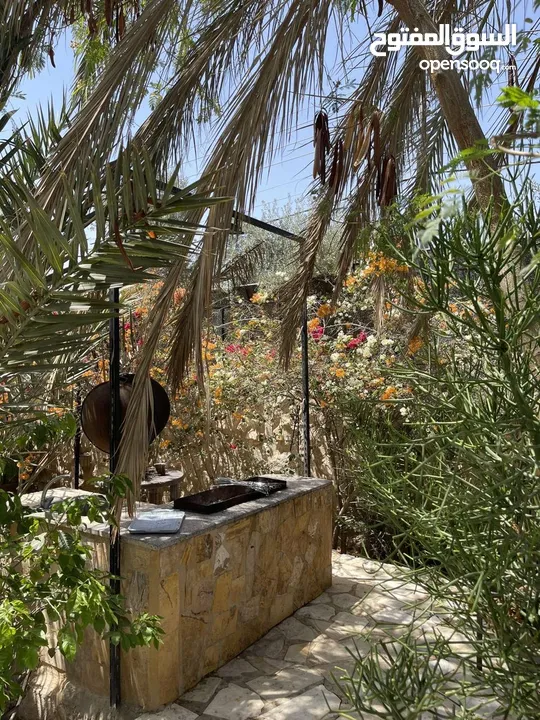 مزارع وشاليهات للايجار اليومي