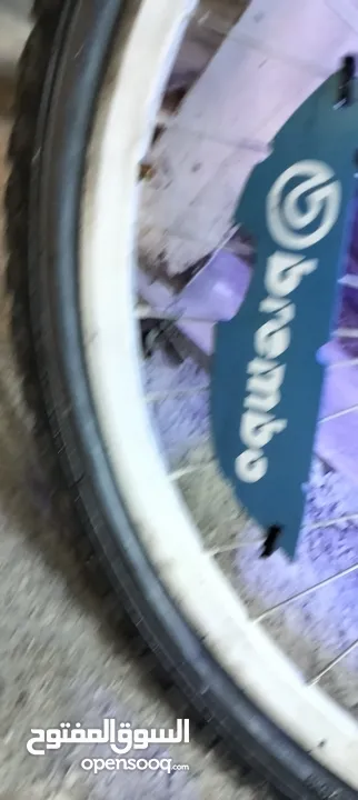 Galant bicycle