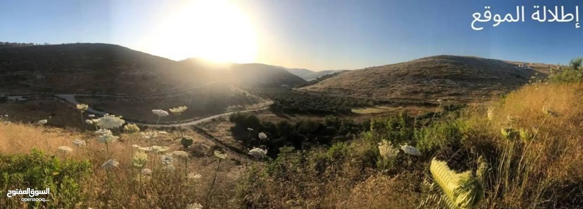 قطعة استثمارية مميزة – مشروع عصيرة 2