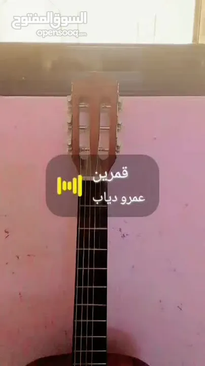جيتار تعليمي مع ريشه