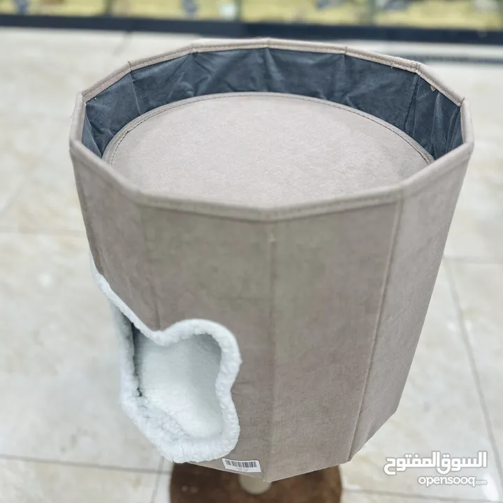 بيوت مع خداشات للقطط