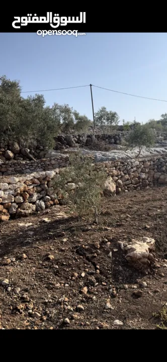 ارض للبيع في بلعا