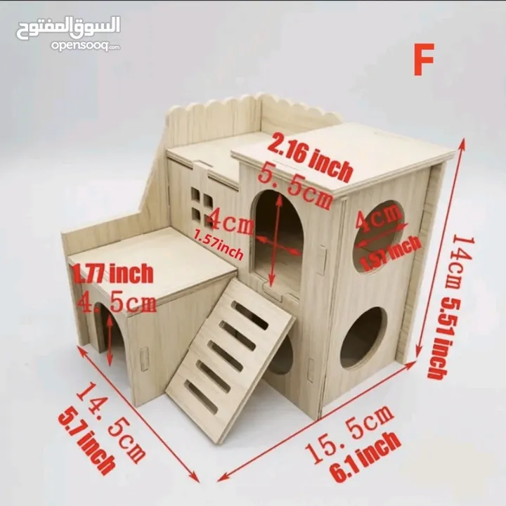 هامستر للبيع