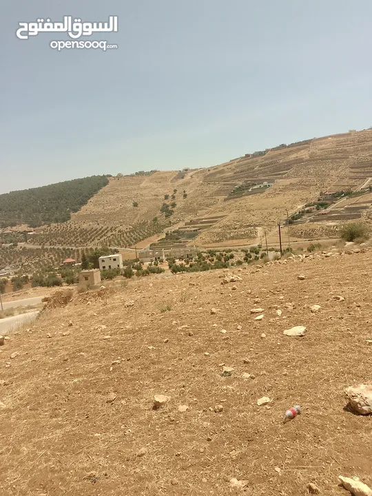 أرض للبيع  الكمشه