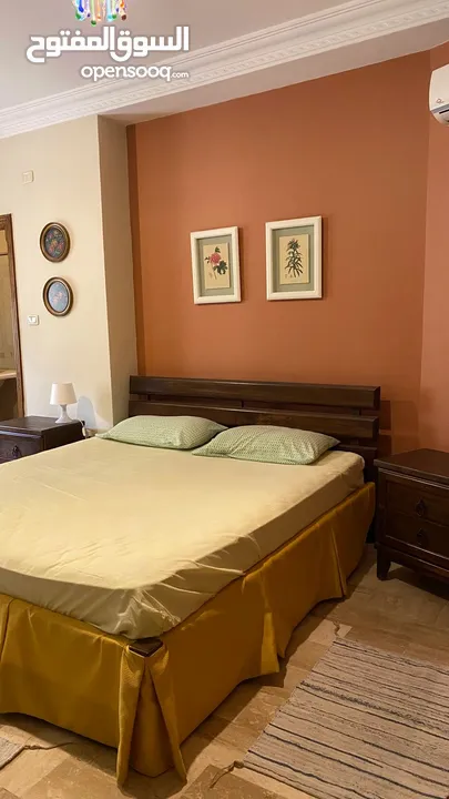 Apartment for rent in shimesani  ( Property 36578 )-174821764