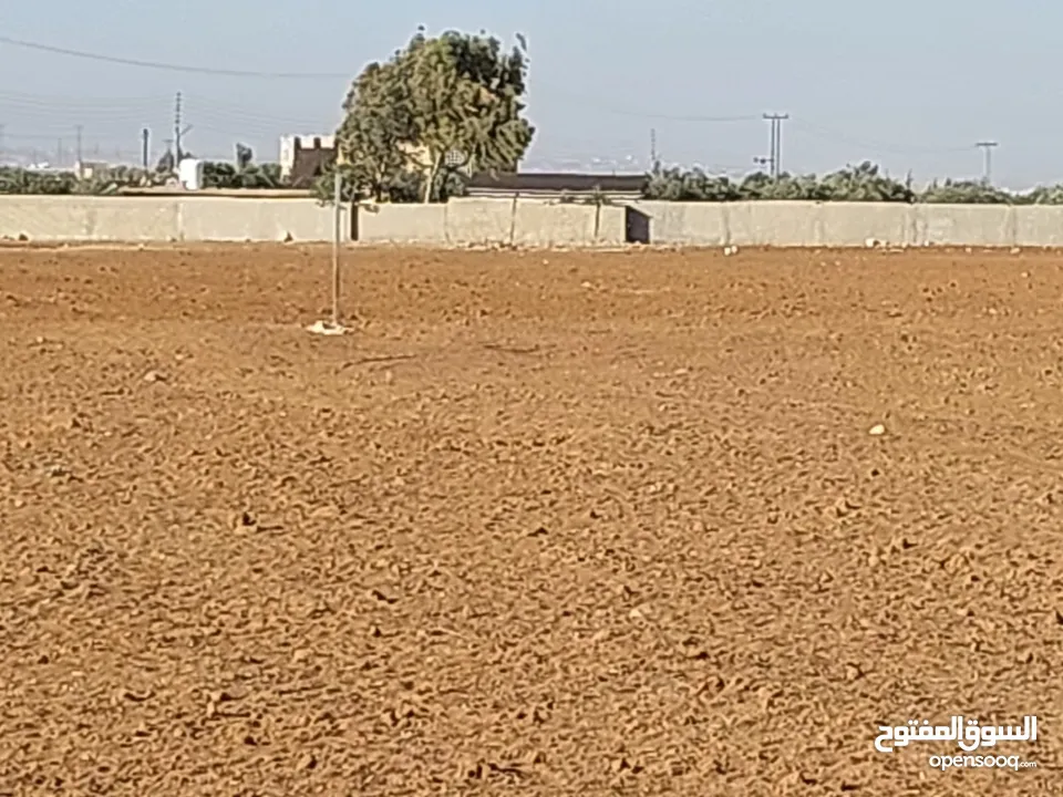 مادبا ماعين مشرفه المرعاوي  قطعة ارض زراعية مميزة  ذات اطلالة على البحر الميت واصل الخدمات 4150 متر